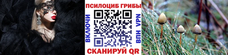 Псилоцибиновые грибы Psilocybe  наркота  Вязники 