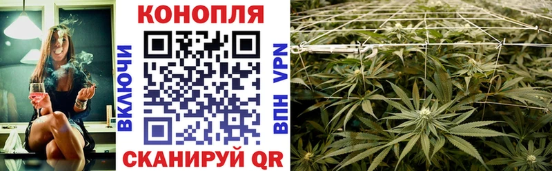 Марихуана Bruce Banner Вязники